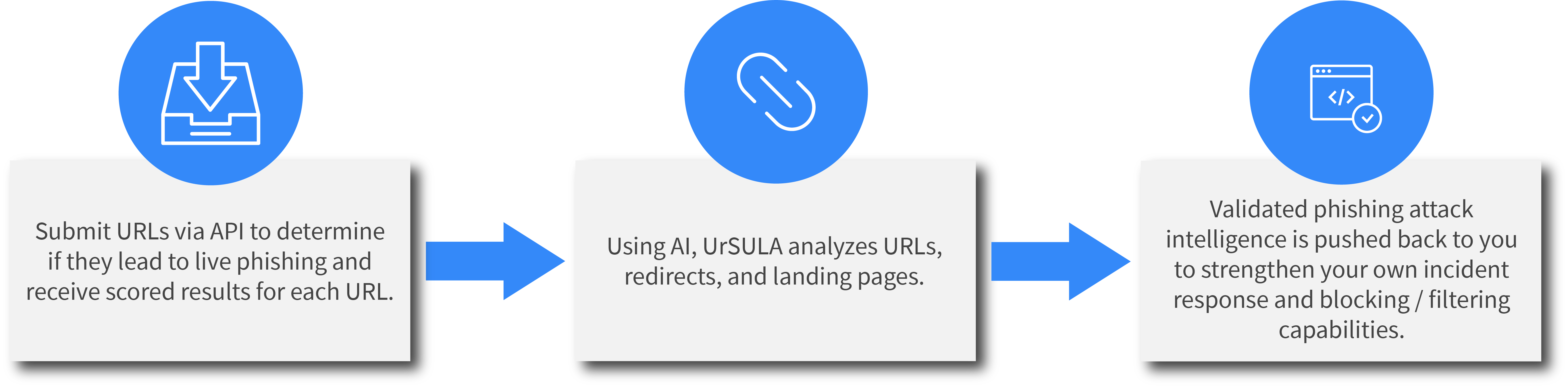 UrSULA Graphic v1.1 kaam 05.28.25-1
